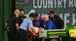 Pirates Fan Who Fell 20 Feet Over PNC Park Rail Faces 'Prowling' Charges