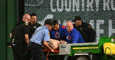 Pirates Fan Who Fell 20 Feet Over PNC Park Rail Faces 'Prowling' Charges