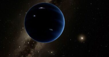 An illustration showing Planet Nine, a hypothetical, undiscovered planet in our solar system. New research now suggests the possibility of Planet Y, which would be smaller and orbiting closer to the sun than Planet Nine.