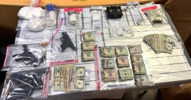 Police: Nearly 3 pounds of meth, firearms seized from Scott Co. home