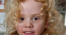 Missing four-year-old Gus
