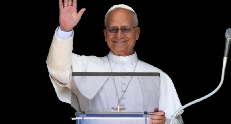Pope Leo XIV weighs in on abortion, death penalty, immigrants