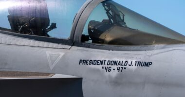 President Donald Trump will celebrate the Navy's 250th anniversary in the midst of the shutdown at Naval Station Norfolk, Virginia