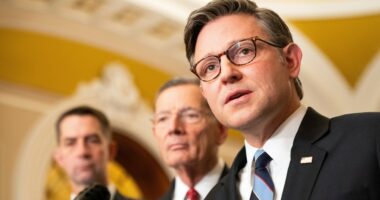 Pressure grows on Johnson to hold vote on military pay