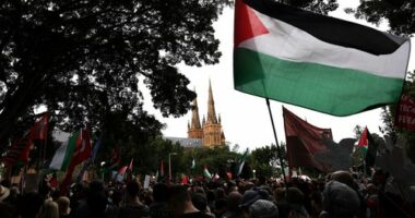 SYDNEY, AUSTRALIA - AUGUST 24: Protesters gather at the National March for a pro-Palestine rally on August 24, 2025 in Sydney, Australia. Protests were held around the country as the international community continues to seek a sustainable solution for the ongoing conflict between Israel and Hamas in Gaza. (Photo by Izhar Khan/Getty Images)