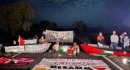 Pro-Palestinian protesters target Pine Gap spy base