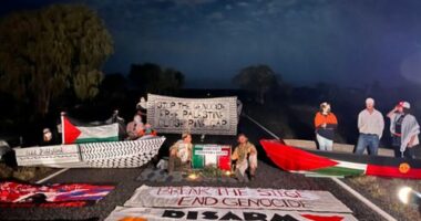 Pro-Palestinian protesters target Pine Gap spy base