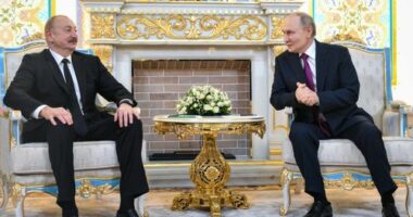 Putin admits Russian missiles downed passenger jet