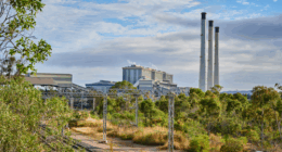 Queensland's biggest coal power station to shut down years early