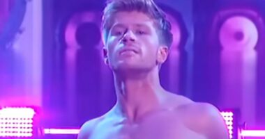 Robert Irwin sets the record straight on stripper future