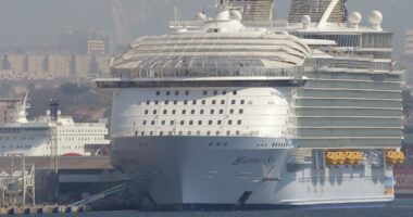 Royal Caribbean cruise reports norovirus outbreak affecting nearly 100