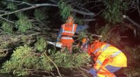 SES receives over 100 calls for help across Tasmania in three days