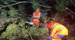 SES receives over 100 calls for help across Tasmania in three days