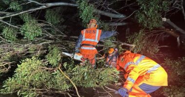 SES receives over 100 calls for help across Tasmania in three days
