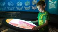 STEAM Center exhibit arrives for installation