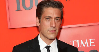 Scandalous Rumors About ABC's David Muir