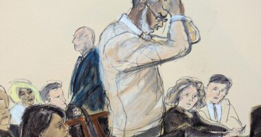 Sean ‘Diddy’ Combs gets 4 years in prison for case involving sex workers, violence and ‘freak-offs’