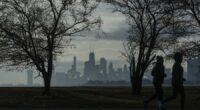 Second man arrested for punching passerby in Chicago