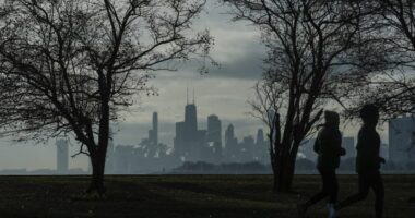 Second man arrested for punching passerby in Chicago