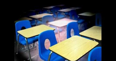 Seminole County schools forced to shutter class over ‘racial discrimination’