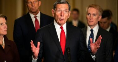 Senate GOP confirms batch of 107 Trump nominees 