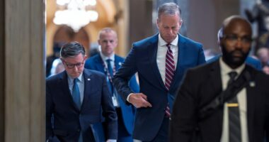 Senate defeats government funding measure as shutdown hits Day 9