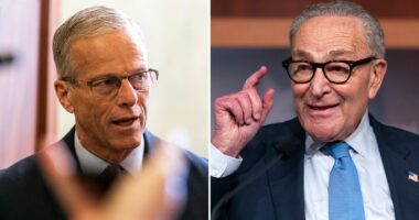 Senate frustrations rise as shutdown starts feeling like 'Groundhog Day'