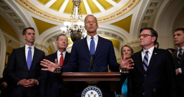 Senate holds more votes on Day 8 of government shutdown