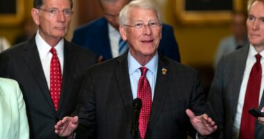 Senate passes mammoth annual defense policy bill