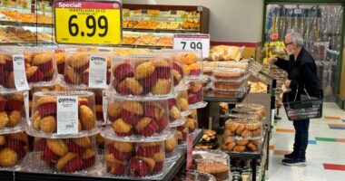 South sees higher prices, steady job growth, new labor report shows