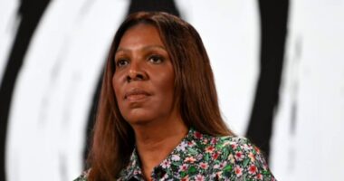 Special Report: Grand jury indicts N.Y. Attorney General Letitia James