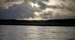 St. Helena Branch Library to hold events for Gullah Geechee Cultural Heritage Month