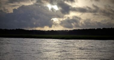 St. Helena Branch Library to hold events for Gullah Geechee Cultural Heritage Month