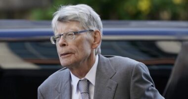 Stephen King named most banned author in US schools