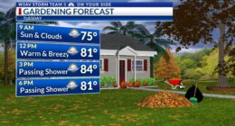 Storm Team 3: Mainly warm & dry through Wednesday, rain returns late-week