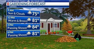 Storm Team 3: Mainly warm & dry through Wednesday, rain returns late-week