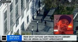 Street ambassador blown away by shotgun-wielding man: Cops