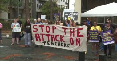 Supporters rally for Duval teacher's reinstatement amid investigation