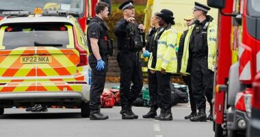 Suspect shot after four injured by vehicle and stabbing at UK synagogue