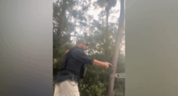 Suspended BCSO deputy's name, employment history revealed