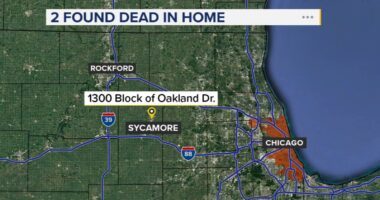 Sycamore murder: Kevin Schmidt charged; Holly, Gary Schmidt found dead in 1300-block of Oakland Drive, DeKalb Co. sheriff says