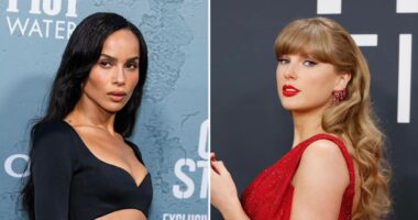 Taylor Swift Addresses Zoe Kravitz Snake Incident on Seth Meyers’ Show