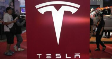 Tesla self-driving software under investigation after traffic violations