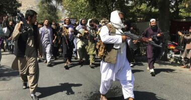 The Stone Age Is Calling: Taliban Shuts Off Key Service to Entire Country Over 'Immorality' Concerns
