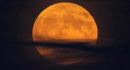 The first supermoon of 2025 will light up Australian skies tonight