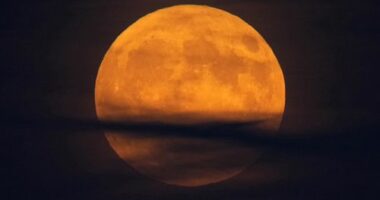 The first supermoon of 2025 will light up Australian skies tonight