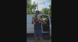 Tiny dog Frannie's big impact: Donations pour in to help other pups