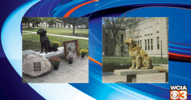 Tribute statue at EIU honors beloved stray dog from 1945