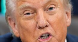 Trump declares drug cartels operating in Caribbean unlawful combatants