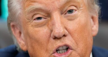 Trump declares drug cartels operating in Caribbean unlawful combatants
